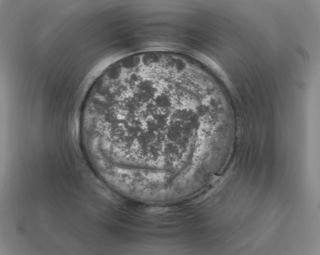 X0000113311419200910131058