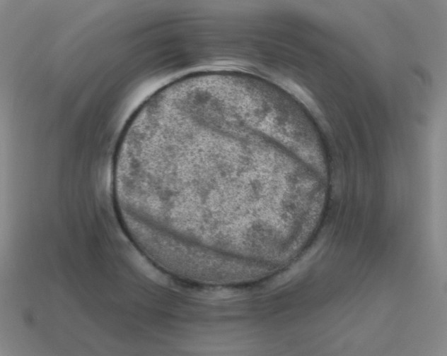 X0000113311420200910131058