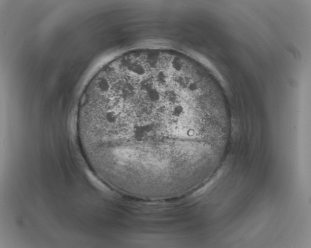 X0000113311421200910131058