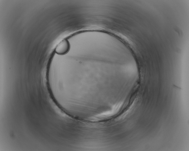 X0000113311422200910131058