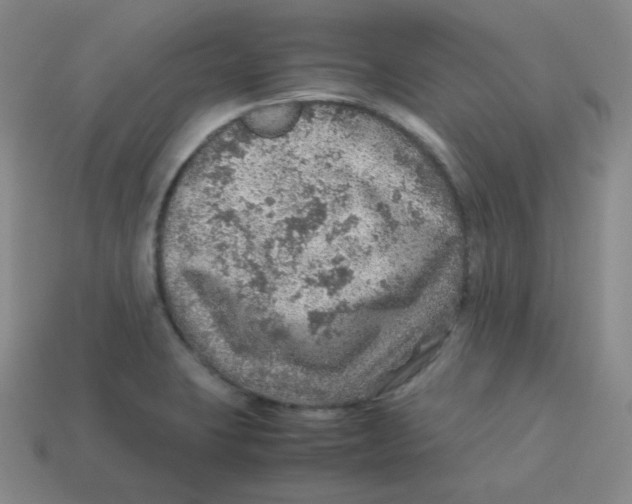 X0000113311423200910131058