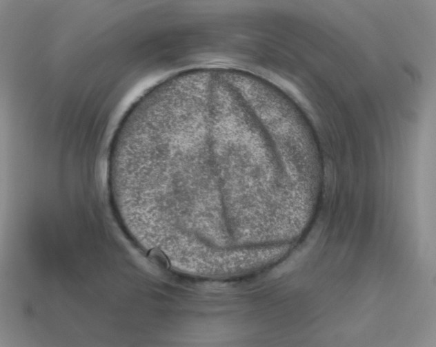 X0000113311424200910131058