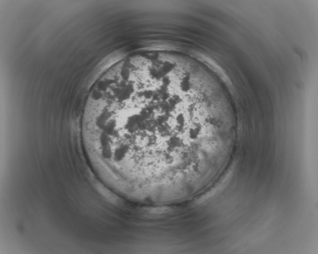 X0000113311425200910131058