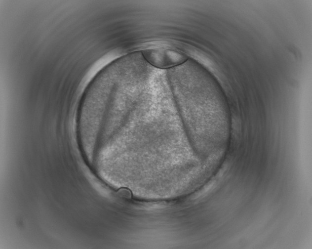 X0000113311426200910131058