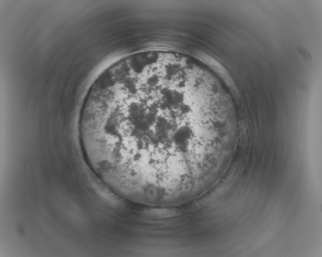 X0000113311427200910131058