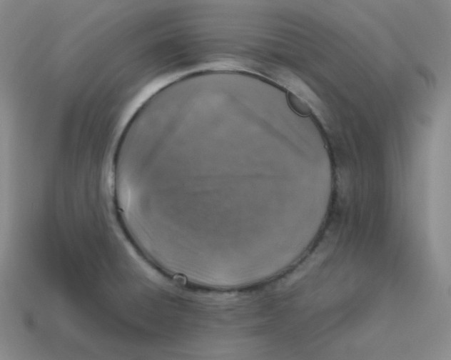 X0000113311428200910131058