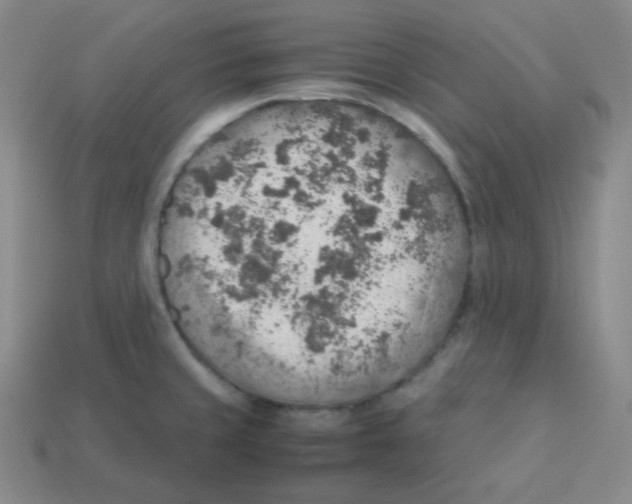 X0000113311429200910131058