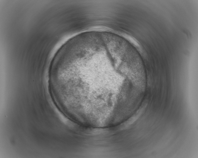 X0000113311430200910131058