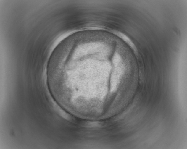 X0000113311431200910131058