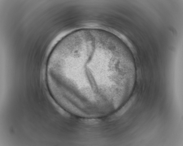 X0000113311432200910131058