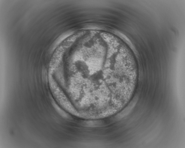 X0000113311433200910131058