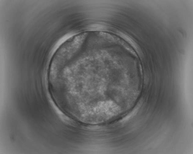 X0000113311434200910131058