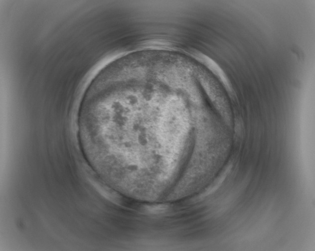 X0000113311435200910131058