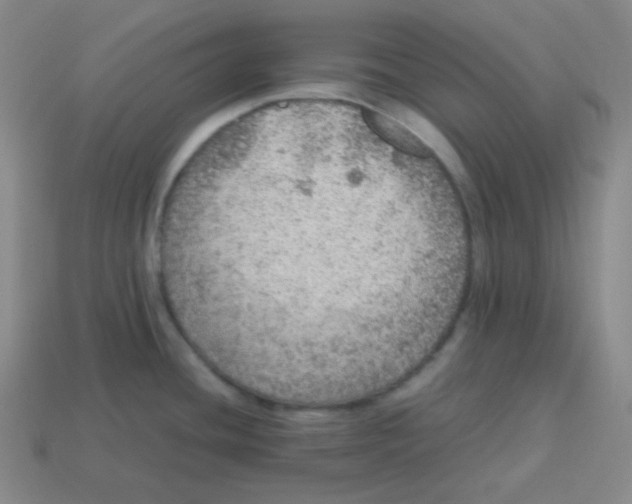 X0000113311436200910131058