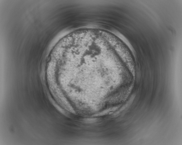 X0000113311437200910131058