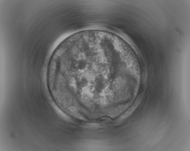 X0000113311438200910131058