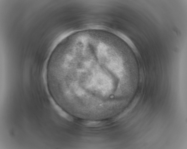 X0000113311439200910131058