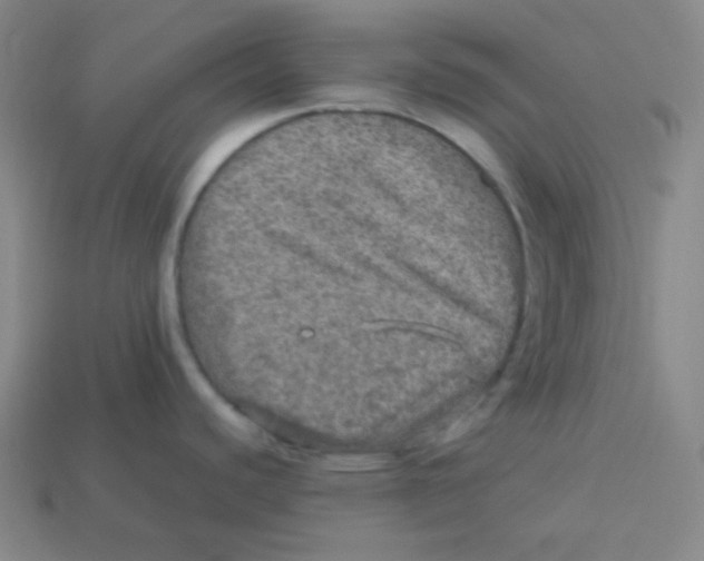 X0000113311440200910131058