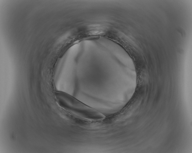 X0000113311441200910131058