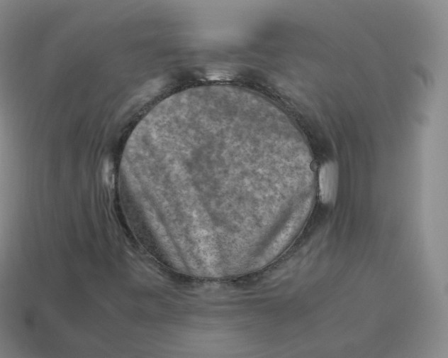 X0000113311443200910131058