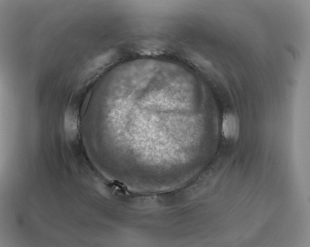 X0000113311444200910131058