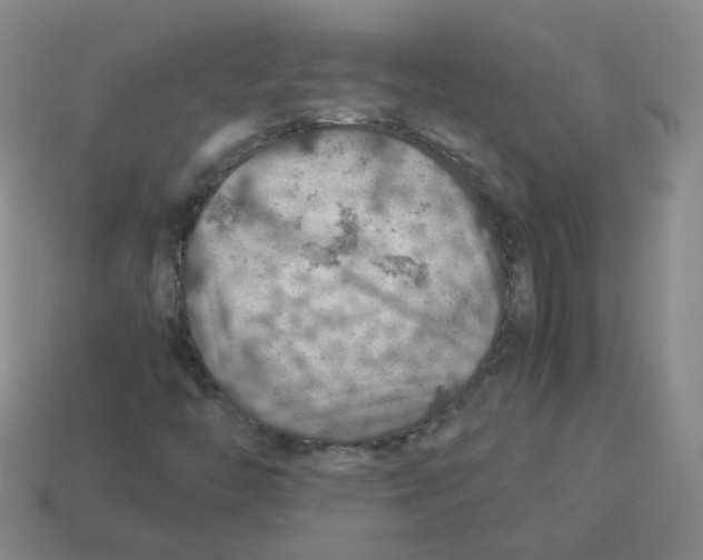 X0000113311446200910131058