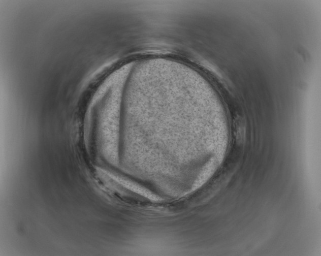 X0000113311448200910131058