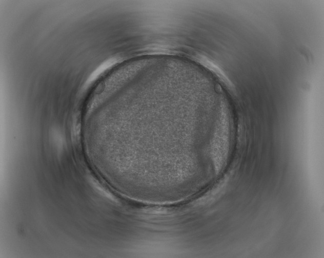 X0000113311450200910131058