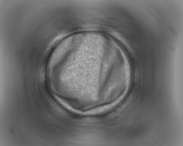 X0000113311451200910131058