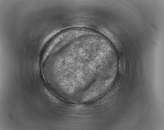 X0000113311452200910131058