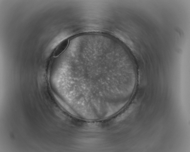 X0000113311453200910131058