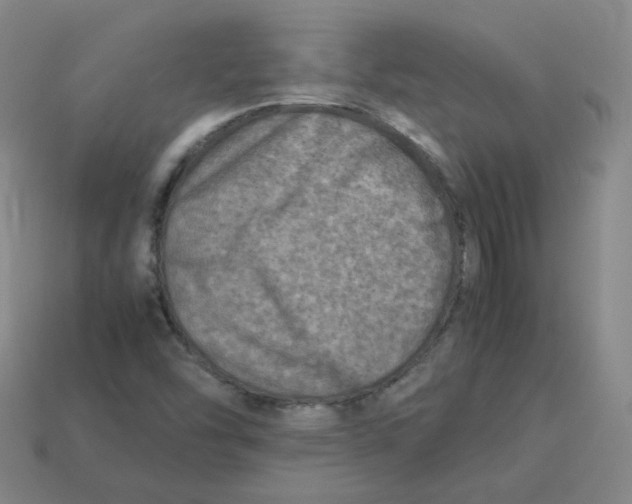 X0000113311454200910131058