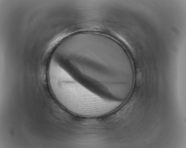 X0000113311455200910131058