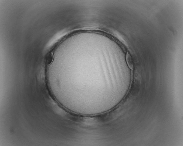 X0000113311456200910131058