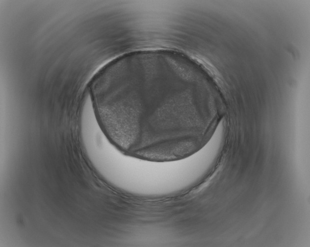 X0000113311457200910131058