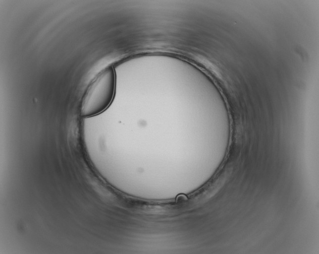 X0000113311458200910131058