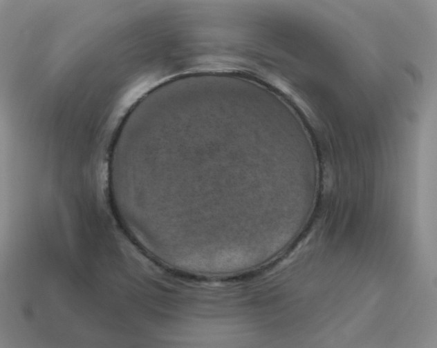 X0000113311459200910131058