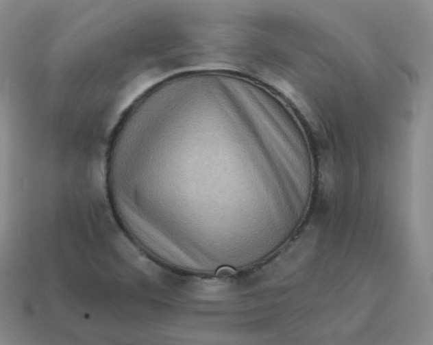 X0000113311460200910131058