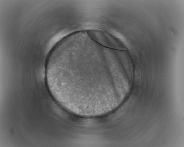 X0000113311461200910131058