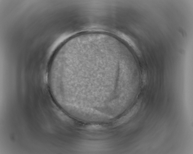 X0000113311462200910131058