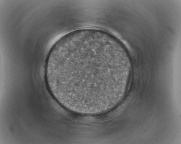 X0000113311463200910131058