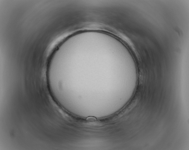 X0000113311464200910131058