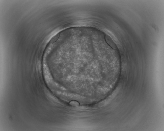 X0000113311465200910131058