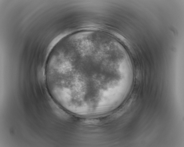 X0000113311466200910131058