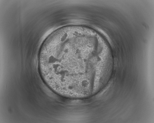 X0000113311467200910131058