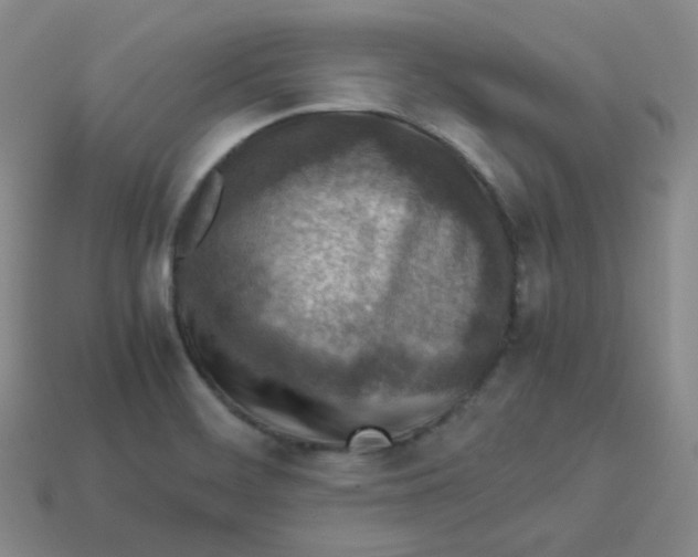 X0000113311468200910131058