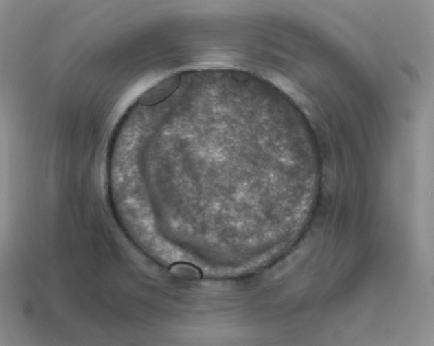 X0000113311469200910131058