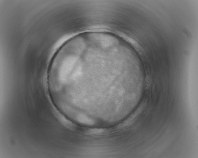 X0000113311470200910131057