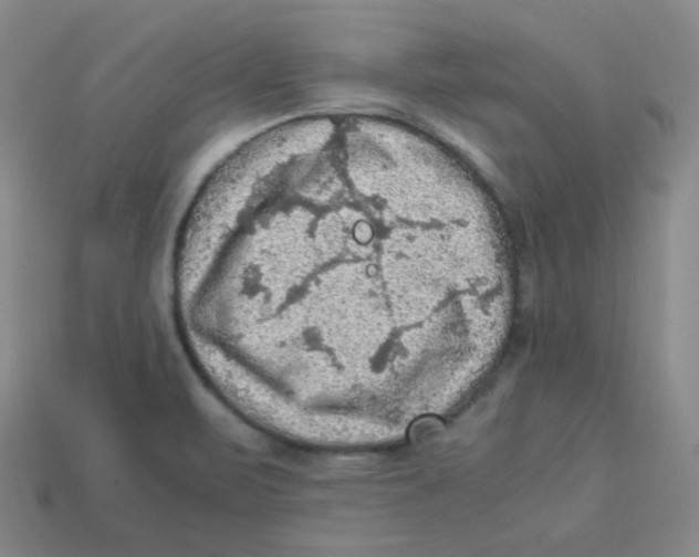 X0000113311471200910131057