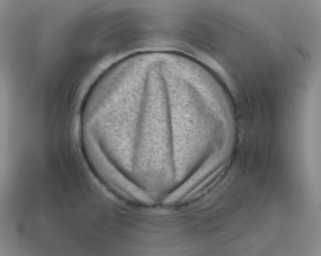 X0000113311472200910131057